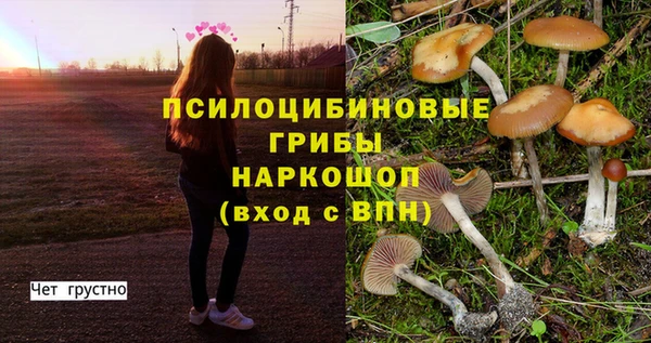 apvp Абаза