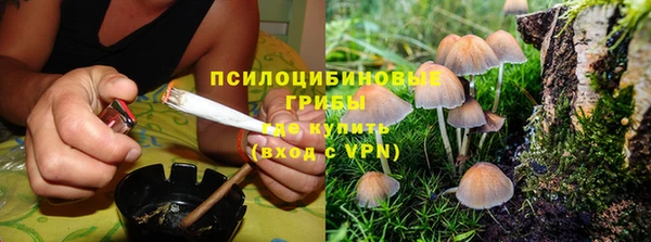 apvp Абаза